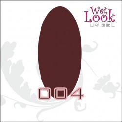 Gel Color Wet Look 5g #004